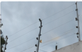 Proyecto de cerco eléctrico